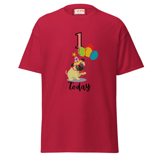 Dog's First Birthday | Dog T-Shirt - Cardinal - T-Shirts Online