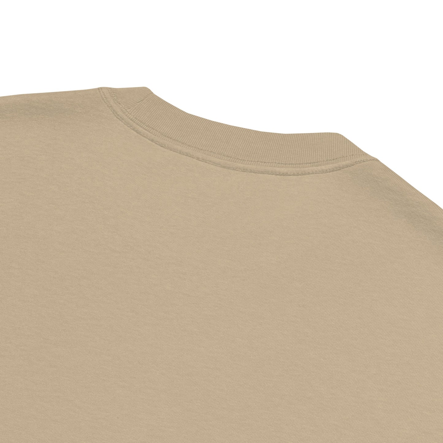 Parasite T-Shirt | Oversized Faded Tee - Faded Black - T-Shirts Online