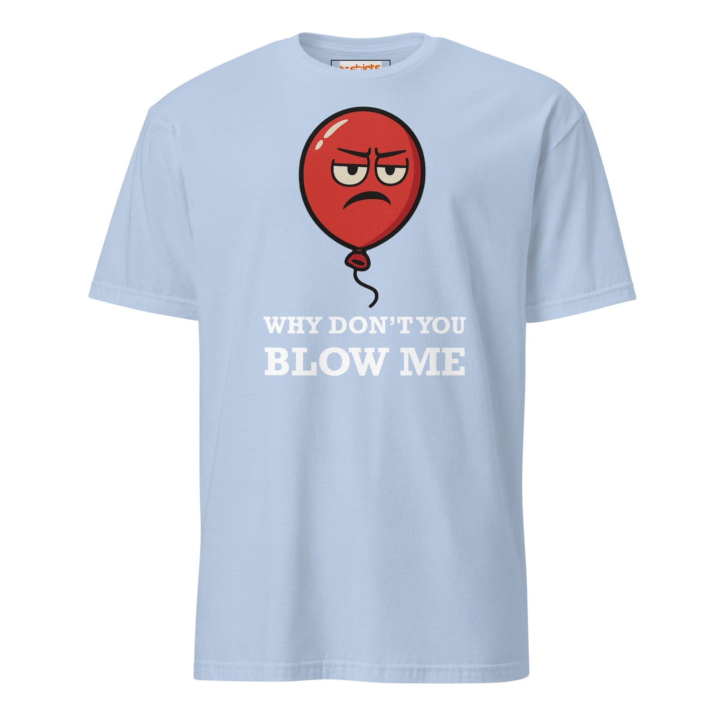 Why Don't You Blow Me T-Shirt | Adult Tee - Light Blue - T-Shirts Online