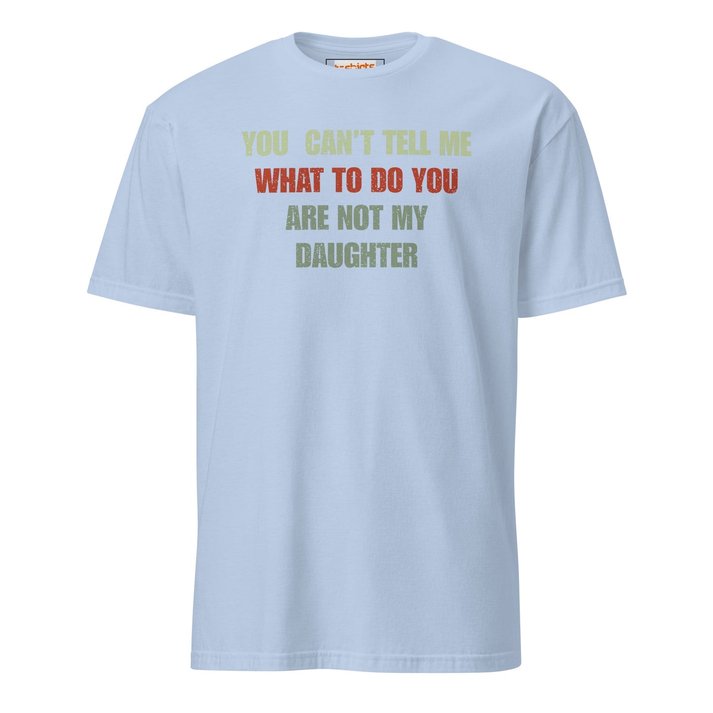 You Can't Tell Me What to Do T-Shirt - Light Blue - T-Shirts Online