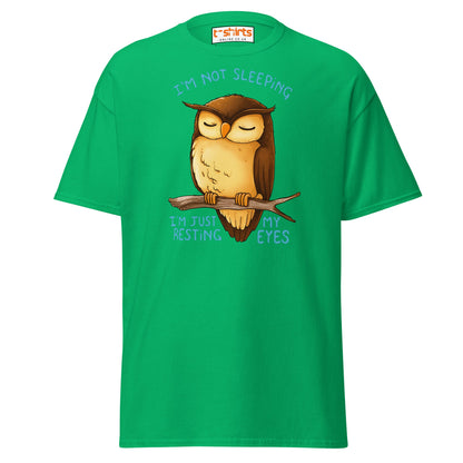 Funny Owl T-Shirt – I’m Not Sleeping Resting My Eyes Tee - Irish Green - T-Shirts Online