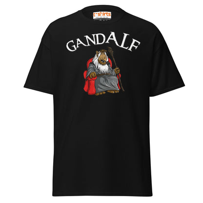 GandALF T-Shirt – Funny Sci - Fi Wizard Parody Tee - Black - T-Shirts Online