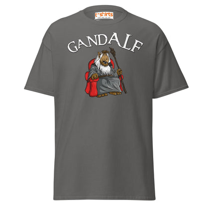 GandALF T-Shirt – Funny Sci - Fi Wizard Parody Tee - Charcoal - T-Shirts Online
