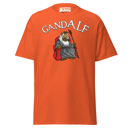 GandALF T-Shirt – Funny Sci - Fi Wizard Parody Tee - Orange - T-Shirts Online