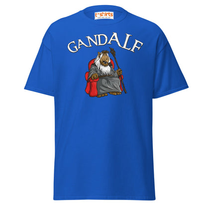 GandALF T-Shirt – Funny Sci - Fi Wizard Parody Tee - Royal - T-Shirts Online