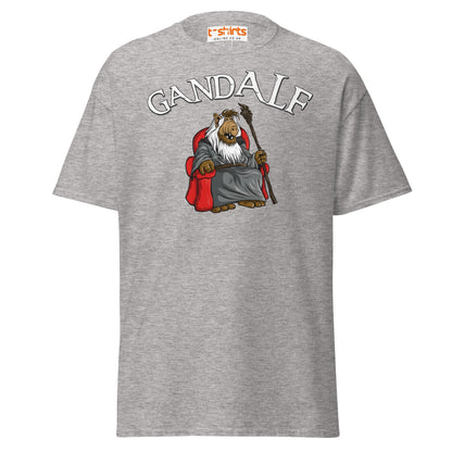 GandALF T-Shirt – Funny Sci - Fi Wizard Parody Tee - Sport Grey - T-Shirts Online
