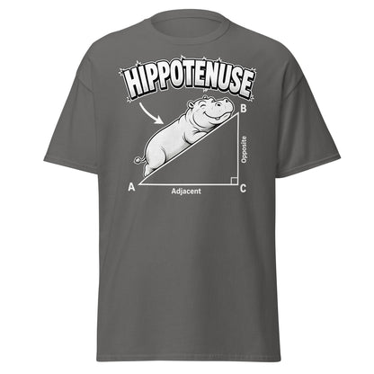 Hippotenuse Funny Hippo Math Pun T-Shirt - Charcoal - T-Shirts Online