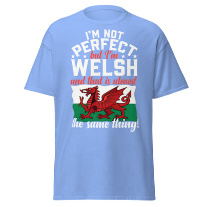 I'm Not Perfect But I'm Welsh - Funny Wales Pride T-Shirt - Carolina Blue - T-Shirts Online