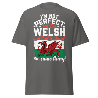 I'm Not Perfect But I'm Welsh - Funny Wales Pride T-Shirt - Charcoal - T-Shirts Online