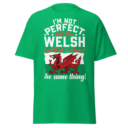 I'm Not Perfect But I'm Welsh - Funny Wales Pride T-Shirt - Irish Green - T-Shirts Online