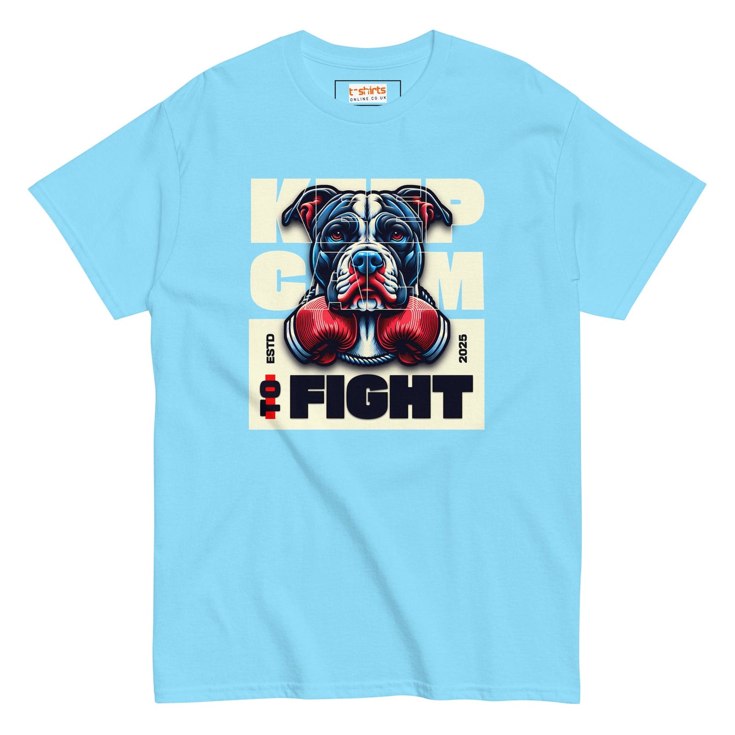 Keep Calm to Fight T-Shirt - Sky - T-Shirts Online