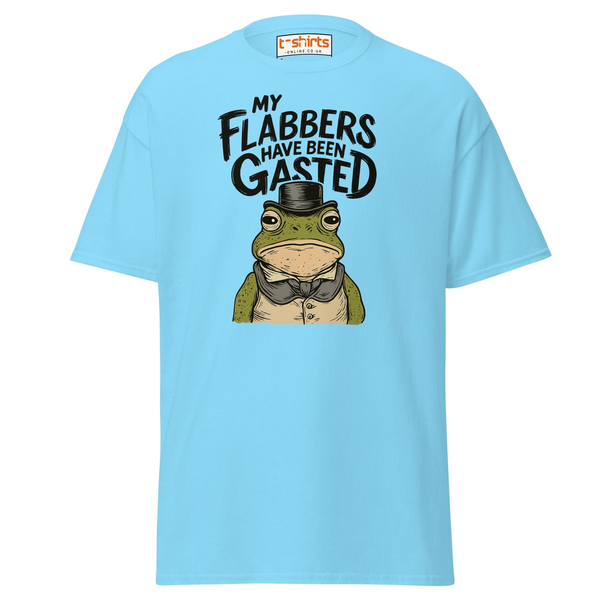 My Flabbers Have Been Gasted Funny Frog T-Shirt - Sky - T-Shirts Online