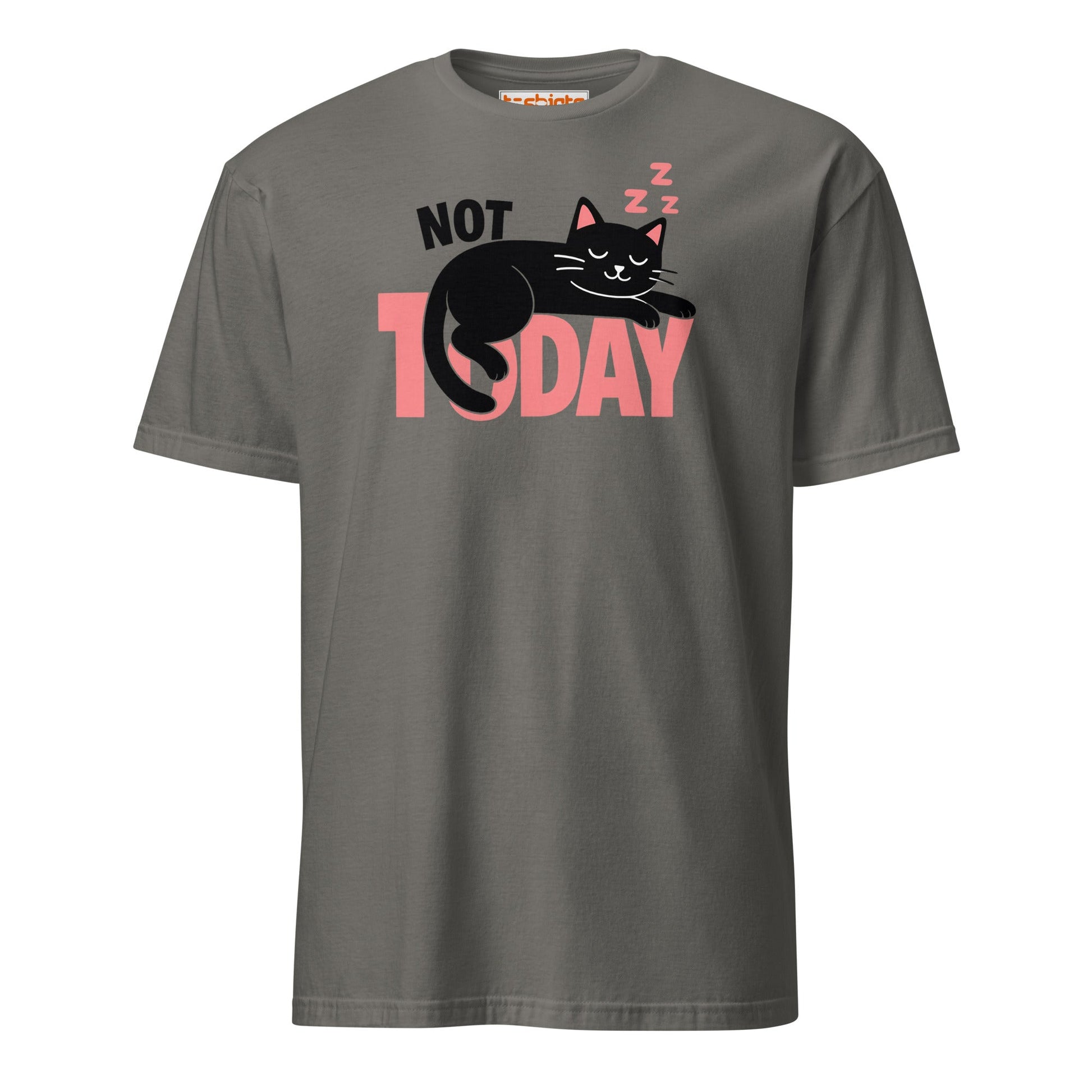 Not Today Sleeping Cat Lazy Day T-Shirt - Charcoal - T-Shirts Online
