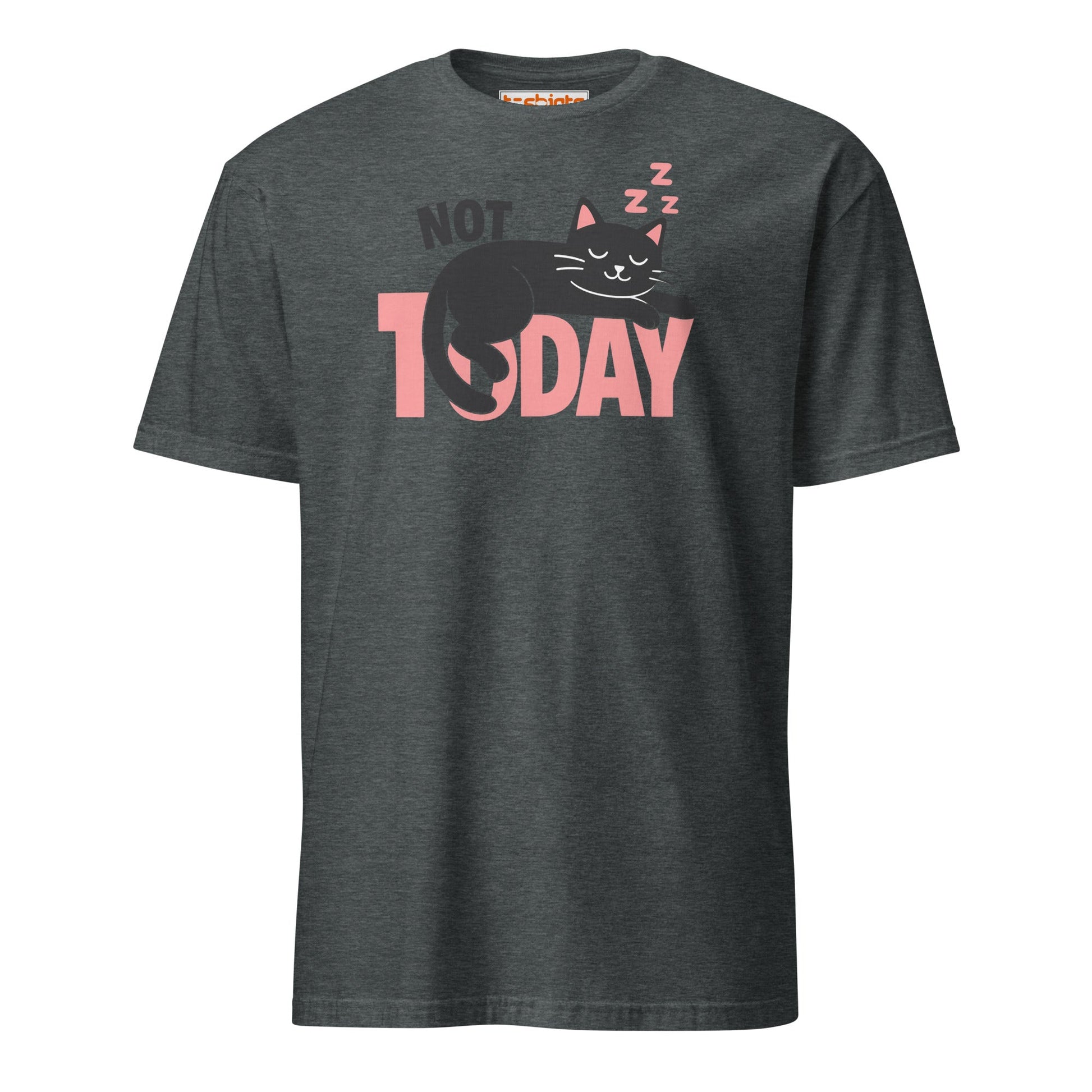 Not Today Sleeping Cat Lazy Day T-Shirt - Dark Heather - T-Shirts Online