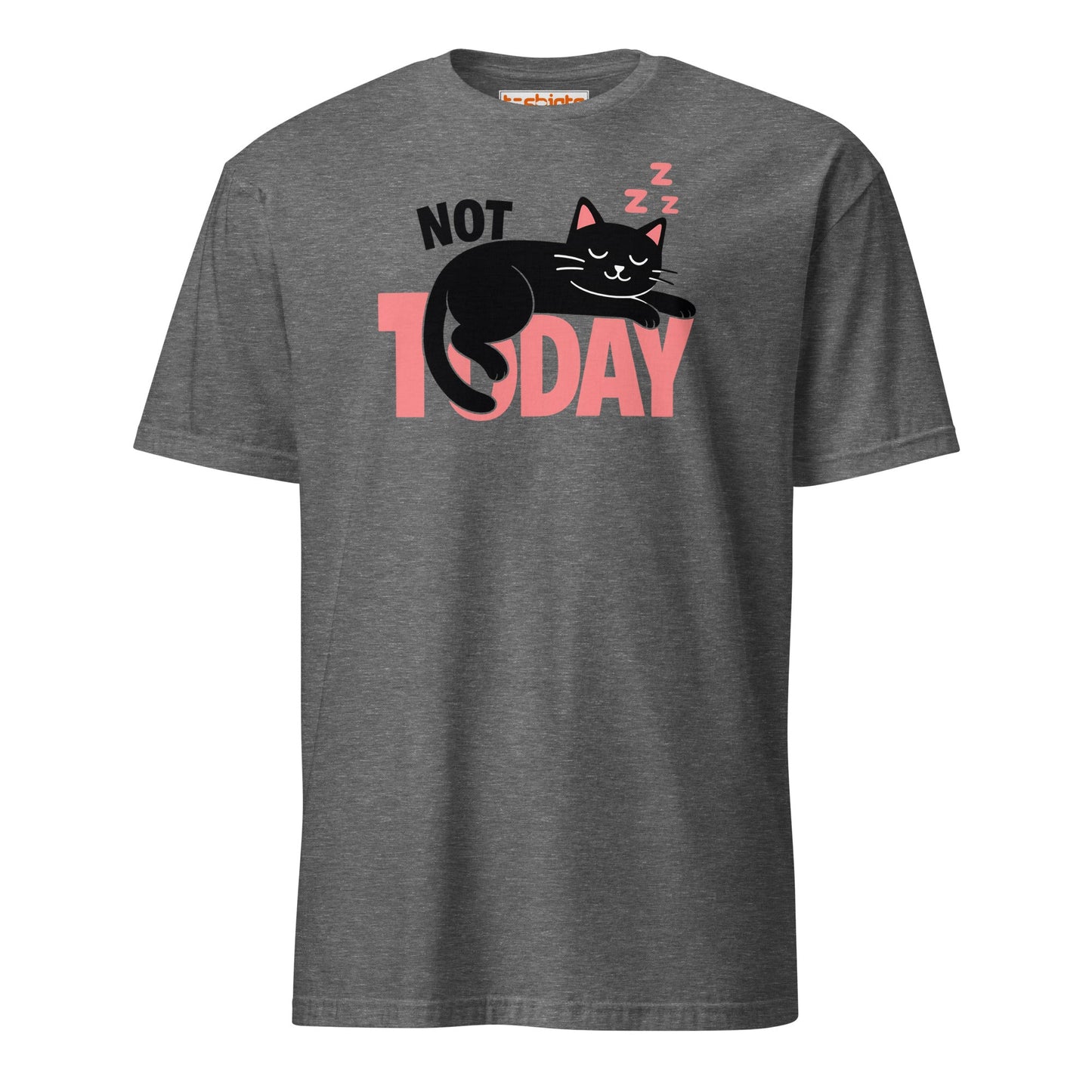 Not Today Sleeping Cat Lazy Day T-Shirt - Graphite Heather - T-Shirts Online