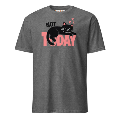 Not Today Sleeping Cat Lazy Day T-Shirt - Graphite Heather - T-Shirts Online