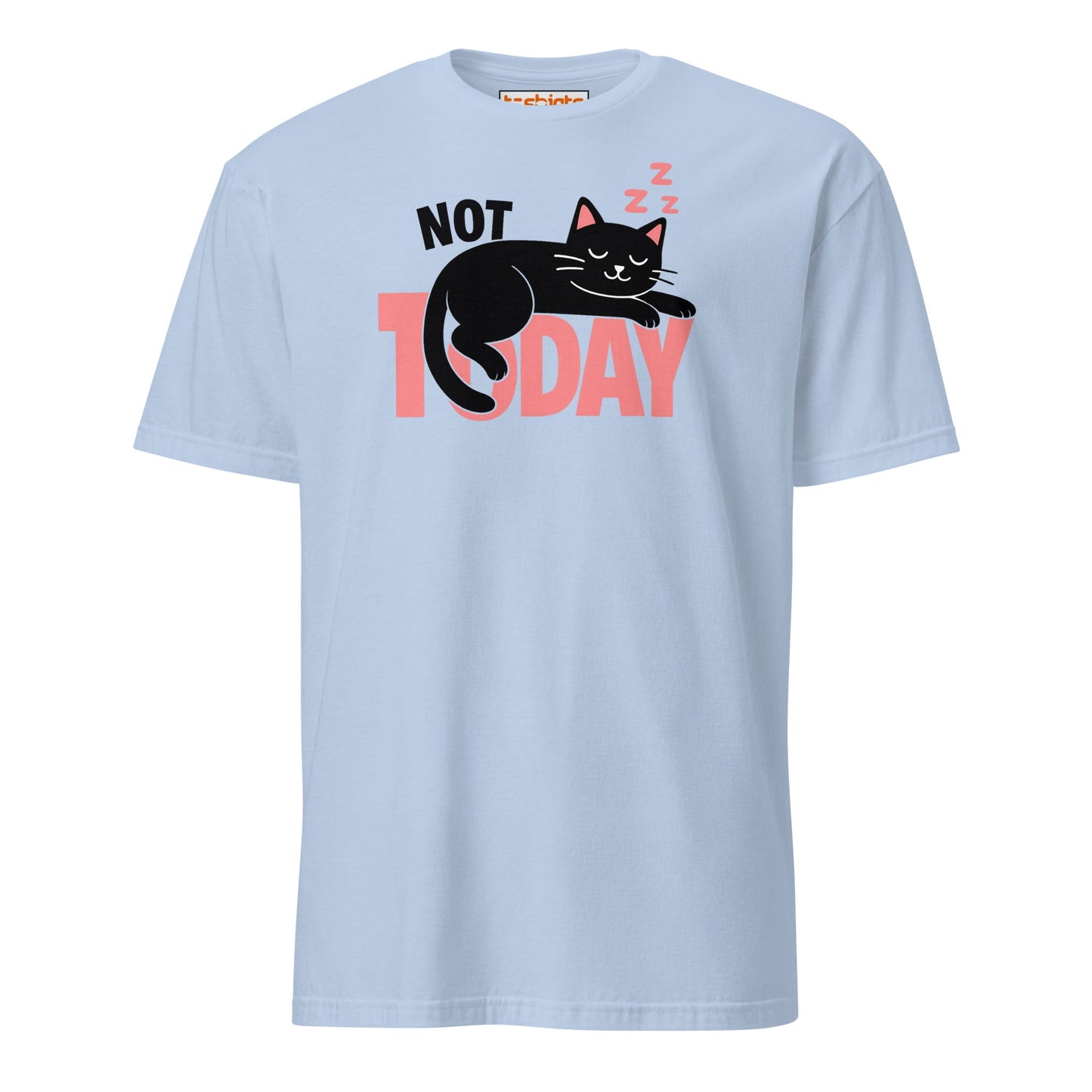 Not Today Sleeping Cat Lazy Day T-Shirt - Light Blue - T-Shirts Online
