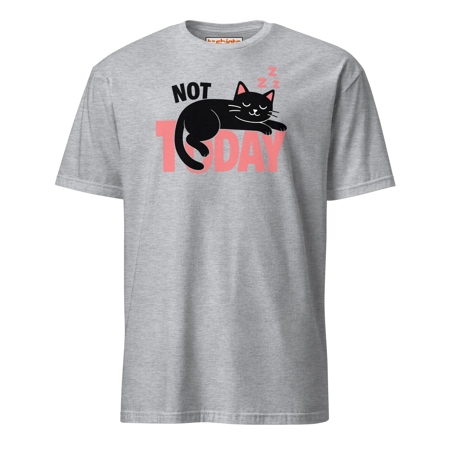 Not Today Sleeping Cat Lazy Day T-Shirt - Sport Grey - T-Shirts Online