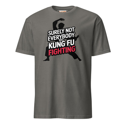 Surely Not Everybody Was Kung Fu Fighting T-Shirt - Charcoal - T-Shirts Online