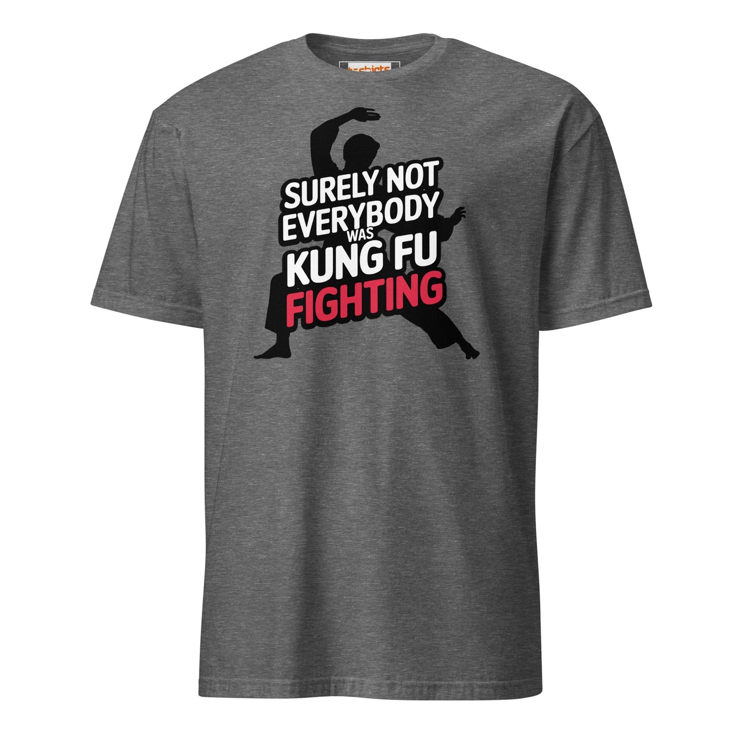 Surely Not Everybody Was Kung Fu Fighting T-Shirt - Graphite Heather - T-Shirts Online