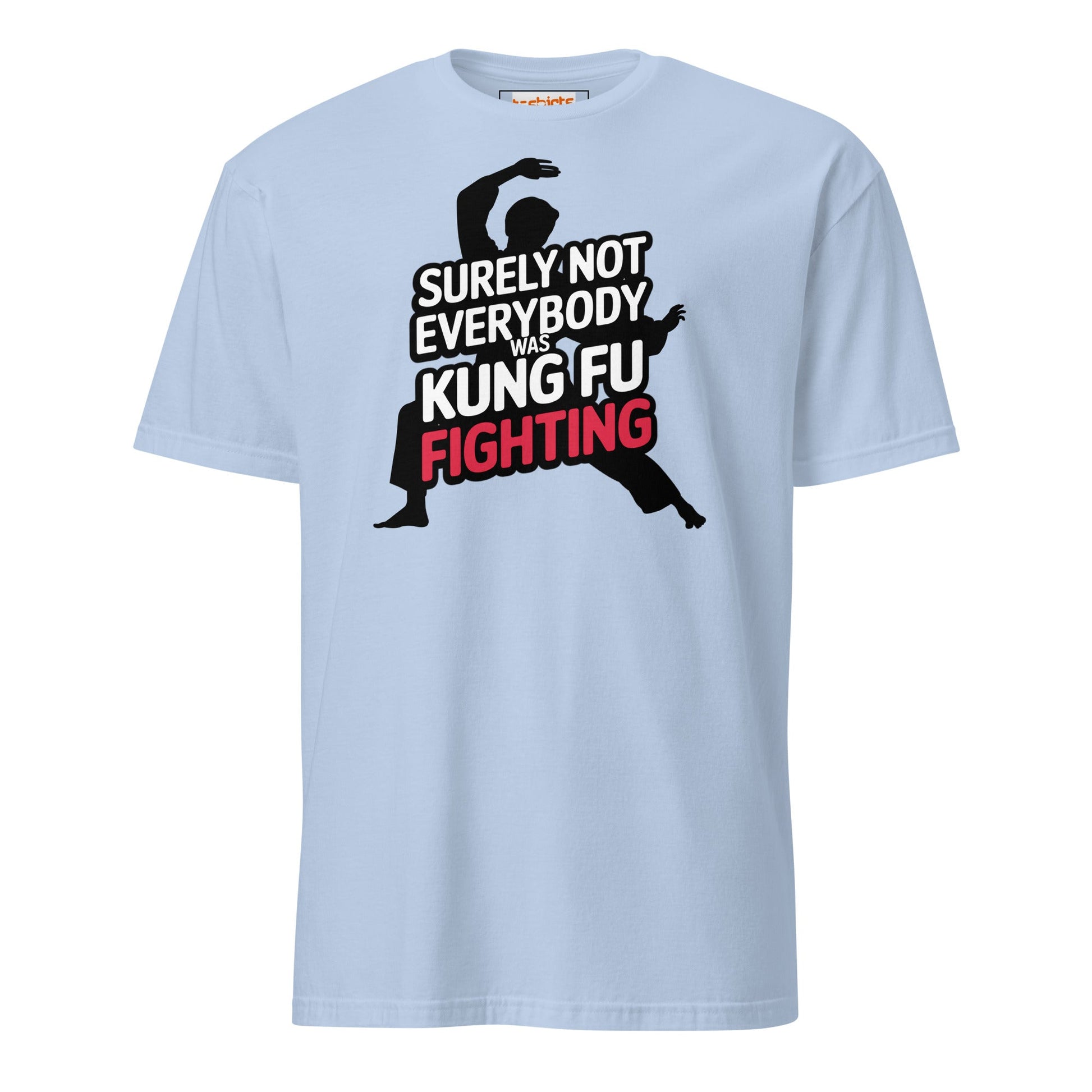 Surely Not Everybody Was Kung Fu Fighting T-Shirt - Light Blue - T-Shirts Online