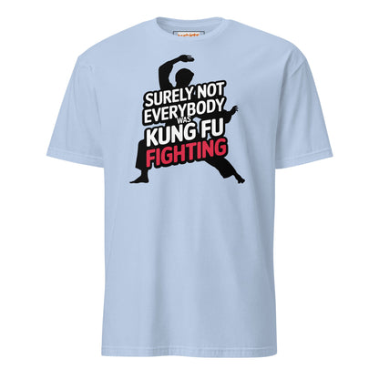 Surely Not Everybody Was Kung Fu Fighting T-Shirt - Light Blue - T-Shirts Online