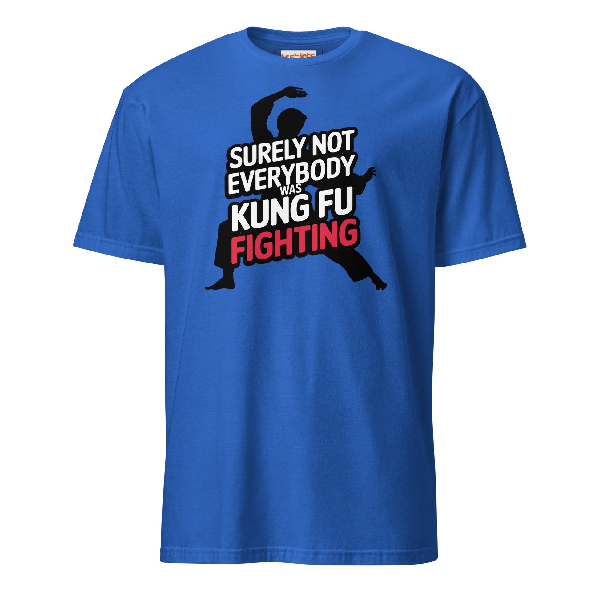 Surely Not Everybody Was Kung Fu Fighting T-Shirt - Royal - T-Shirts Online
