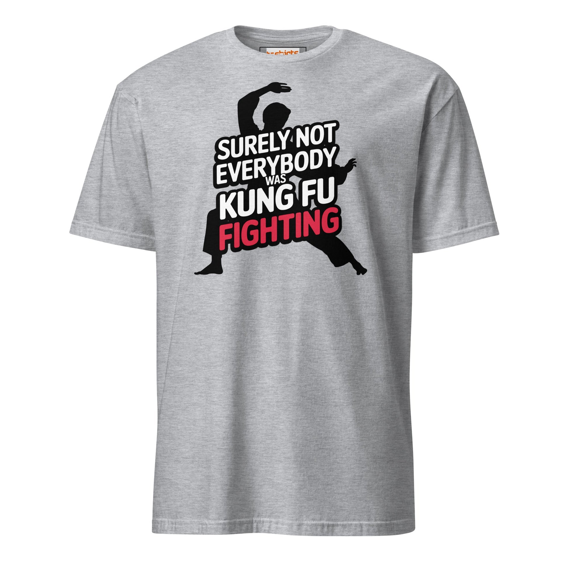 Surely Not Everybody Was Kung Fu Fighting T-Shirt - Sport Grey - T-Shirts Online