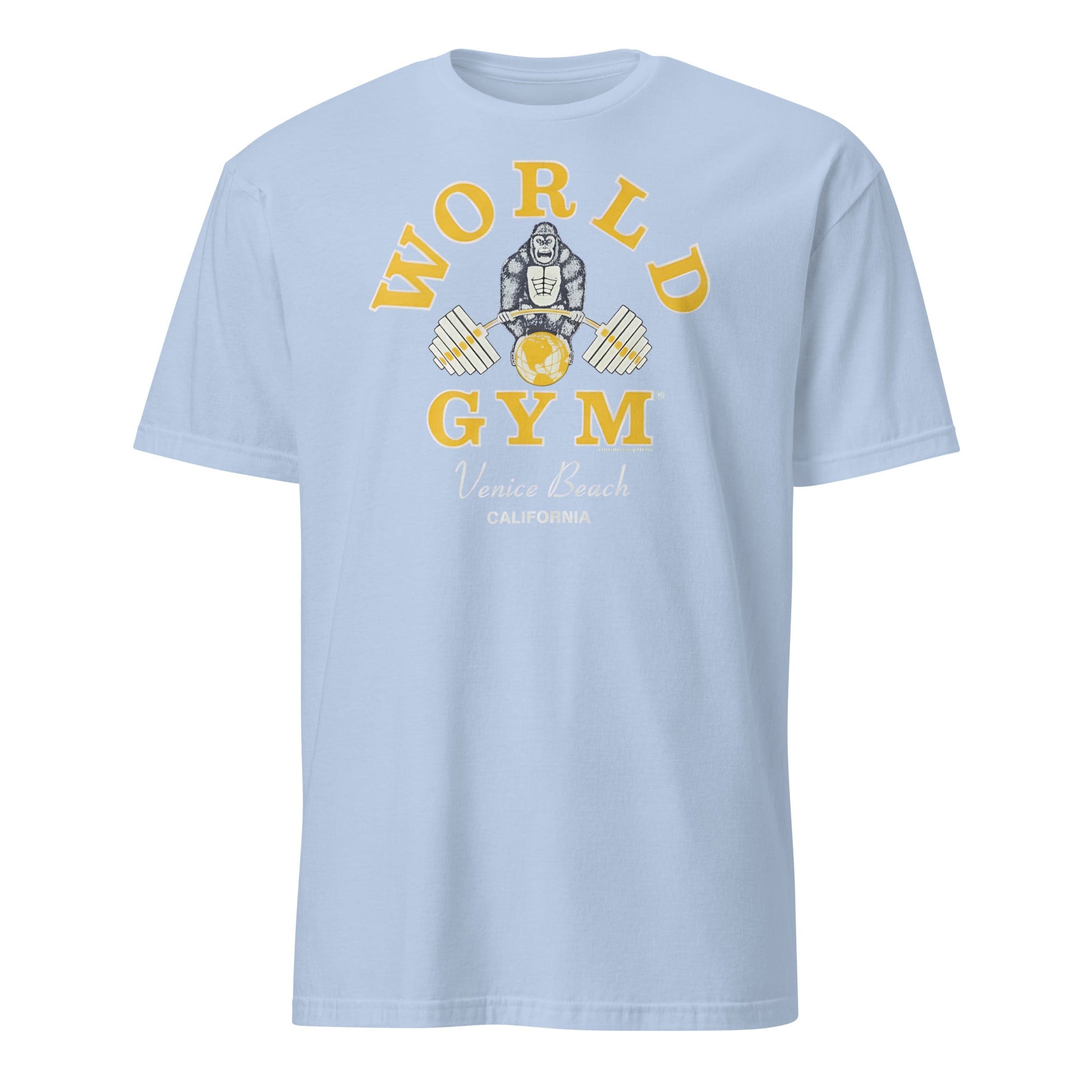 World Gym T-Shirt - Light Blue - T-Shirts Online